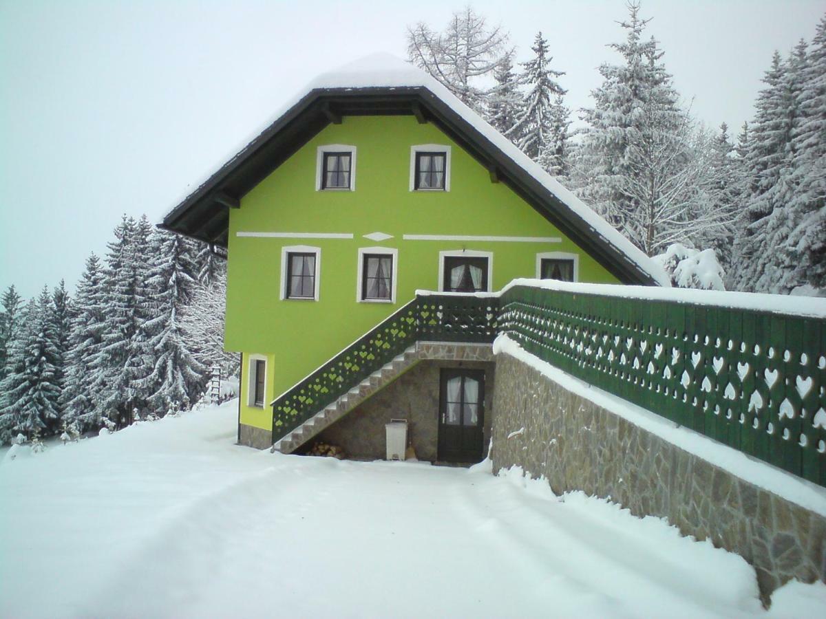 Apartment Sara Vitanje ภายนอก รูปภาพ